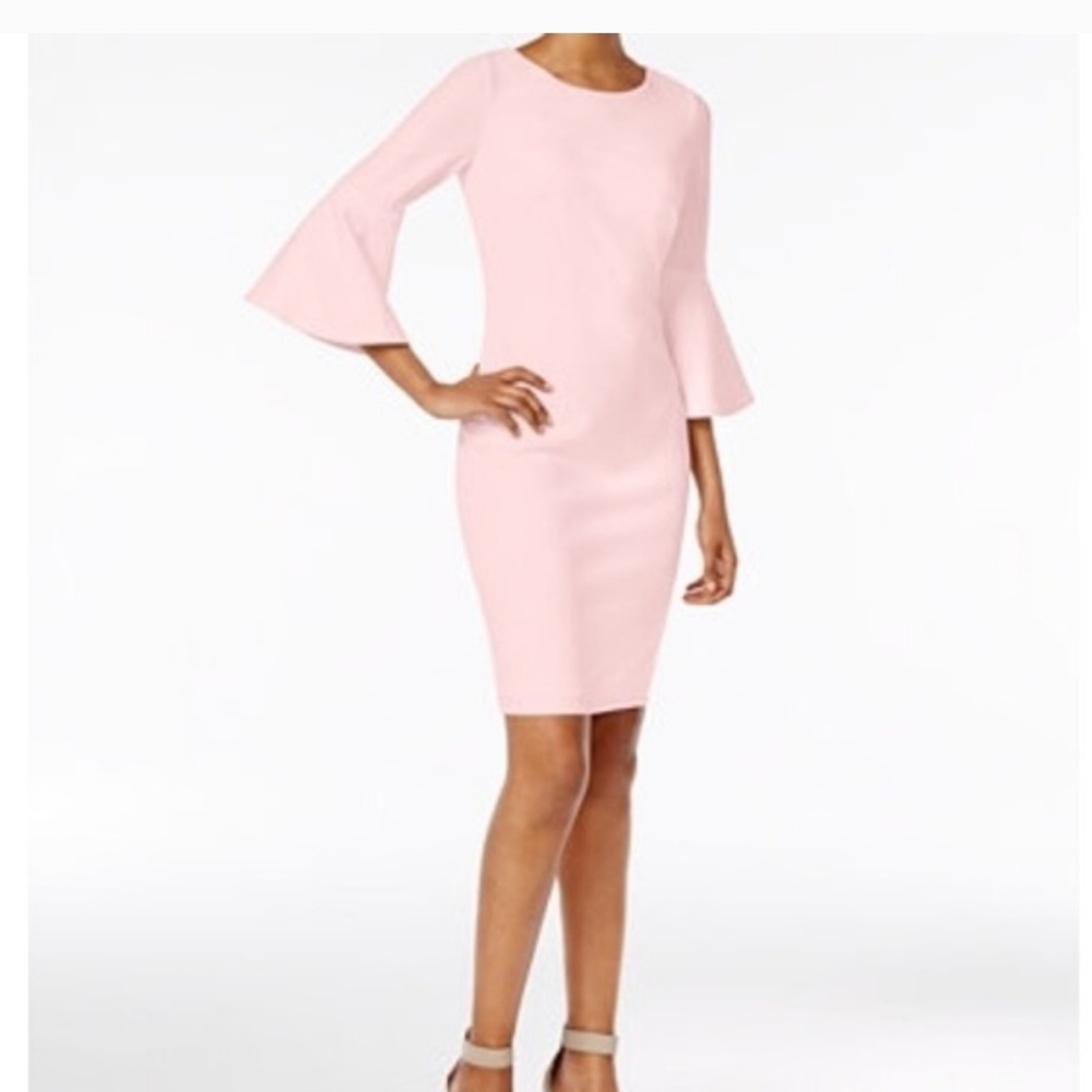 Soft blush Bell-Sleeved dress